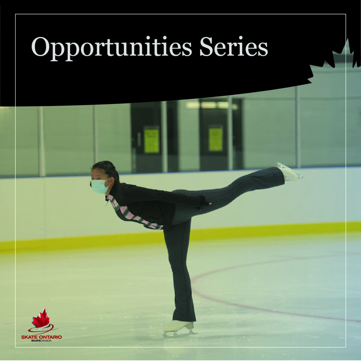 Opportunities Series ONLINE Skate Ontario