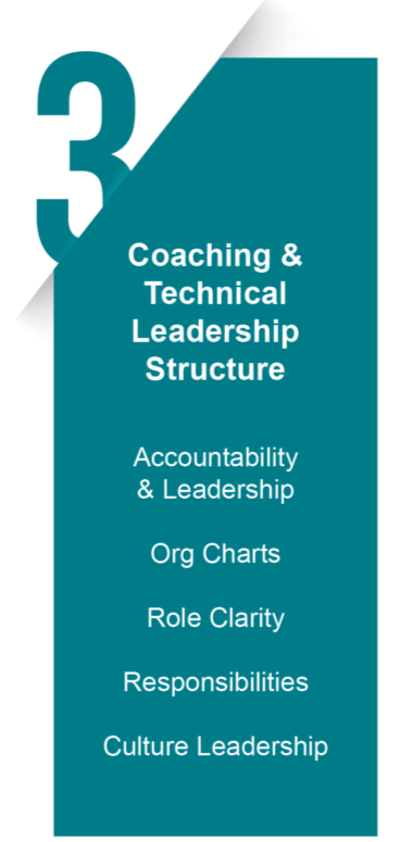 Phase 3: Coaching and Technical Leadership Structure