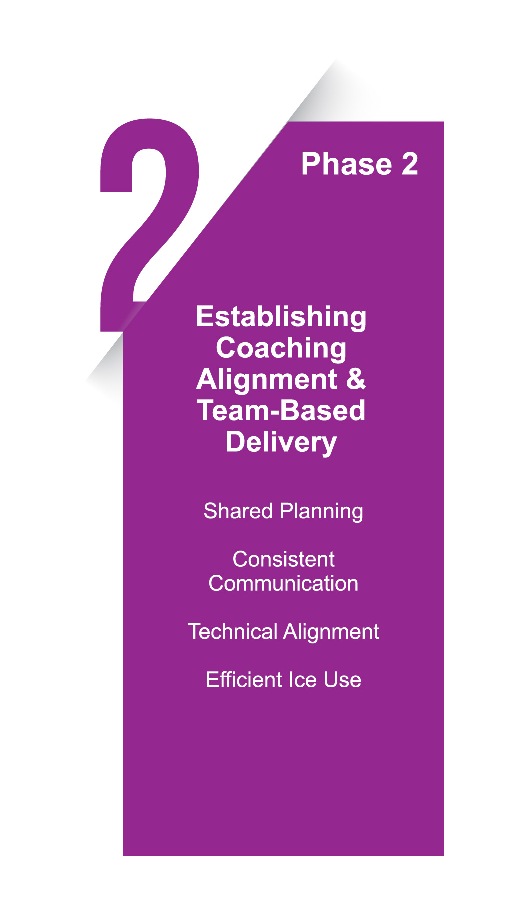 Phase 2: Establishing Coaching Alignment and Team-Based Delivery
