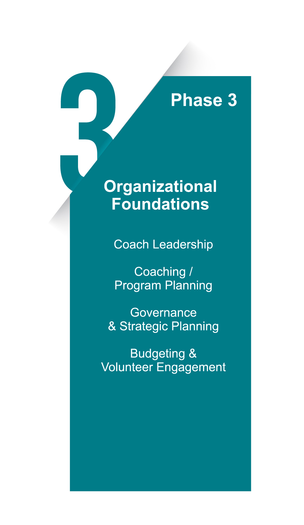 Phase 3: Organizational Foundations