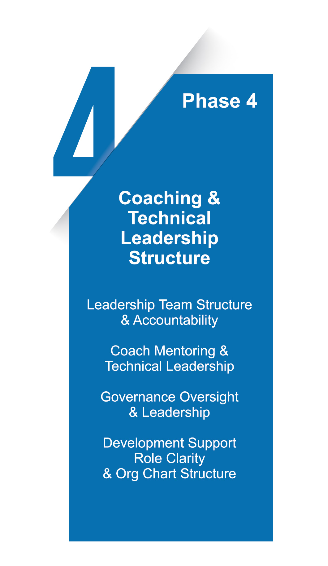 Phase 4: Coaching and Technical Leadership Structure