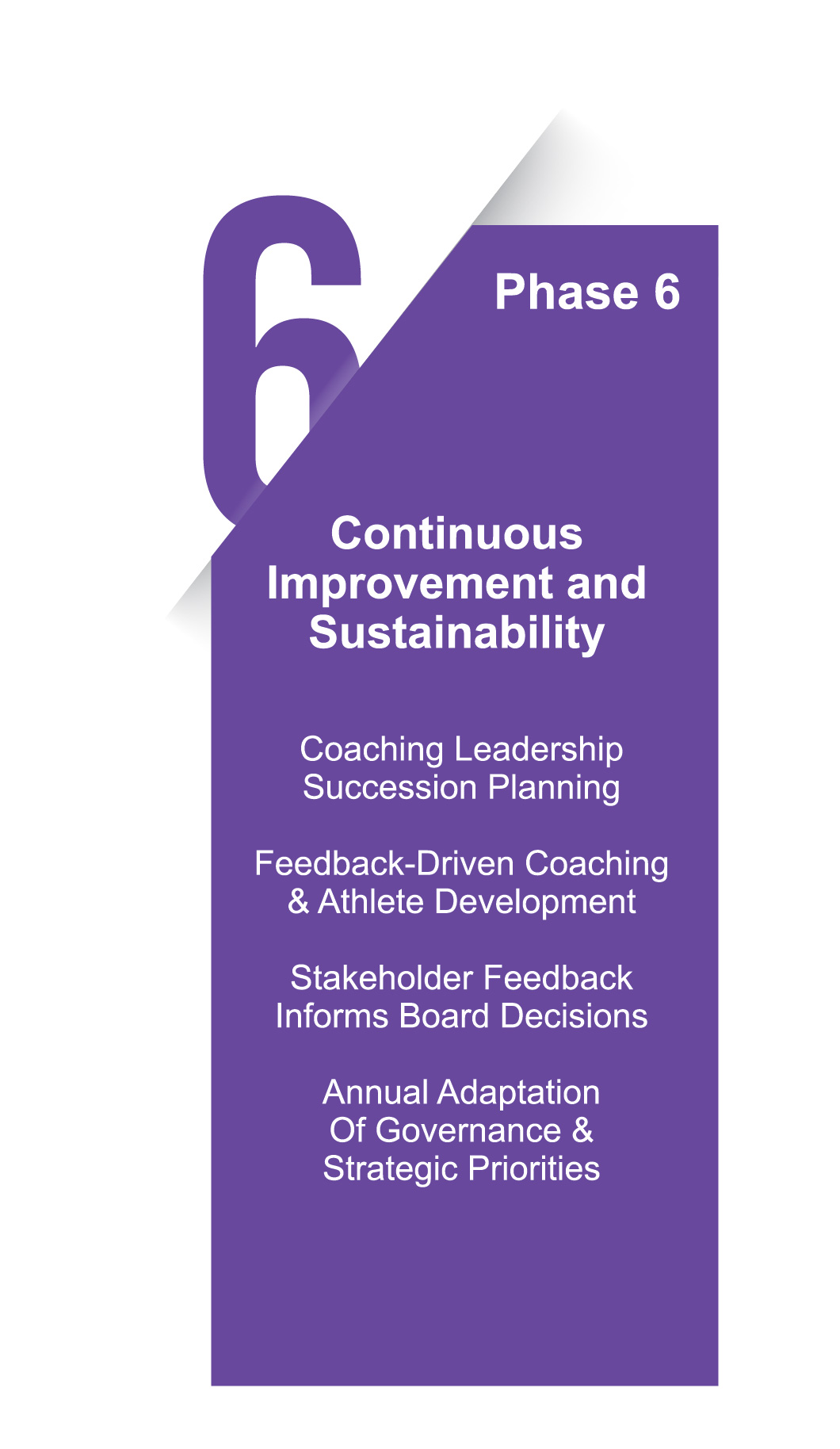 Phase 6: Continuous Improvement and Sustainability
